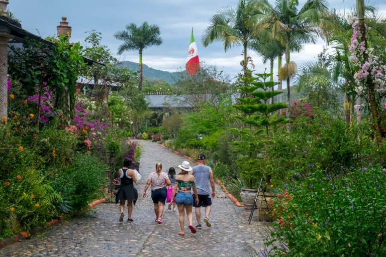 Puerto Vallarta Botanical Garden Stunning Nature Reserve Puerto