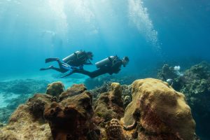 Quick Guide For Scuba Diving In Puerto Vallarta